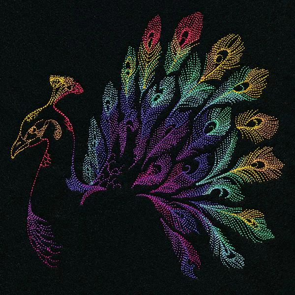 Rainbow Peacock - Image 5