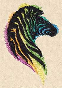 Rainbow Zebra - Image 3