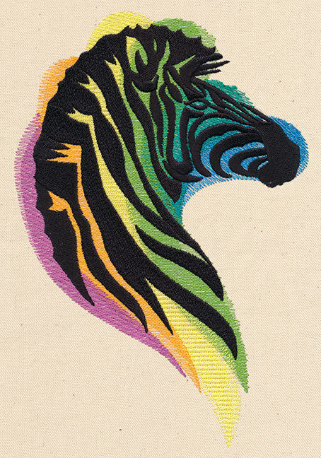 Rainbow Zebra - Image 4