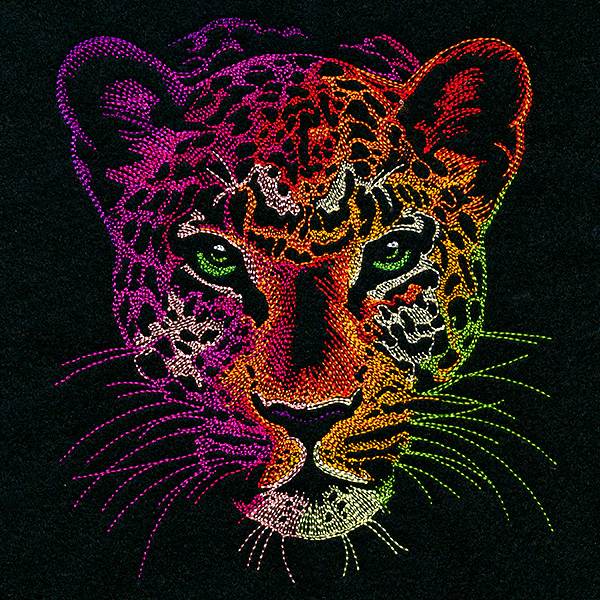 Rainbows & Mystery - Leopard Head - Image 4