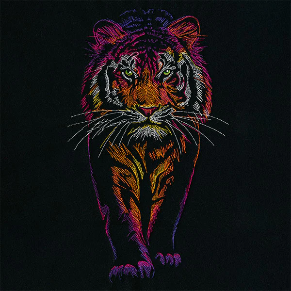 Rainbows & Mystery Tiger - Image 11