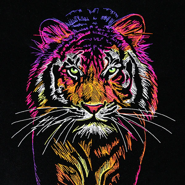 Rainbows & Mystery Tiger - Image 12