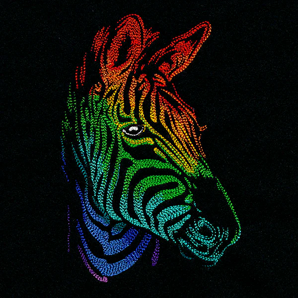 Rainbows & Mystery - Zebra Head - Image 3