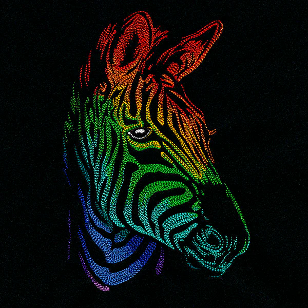 Rainbows & Mystery - Zebra Head - Image 4