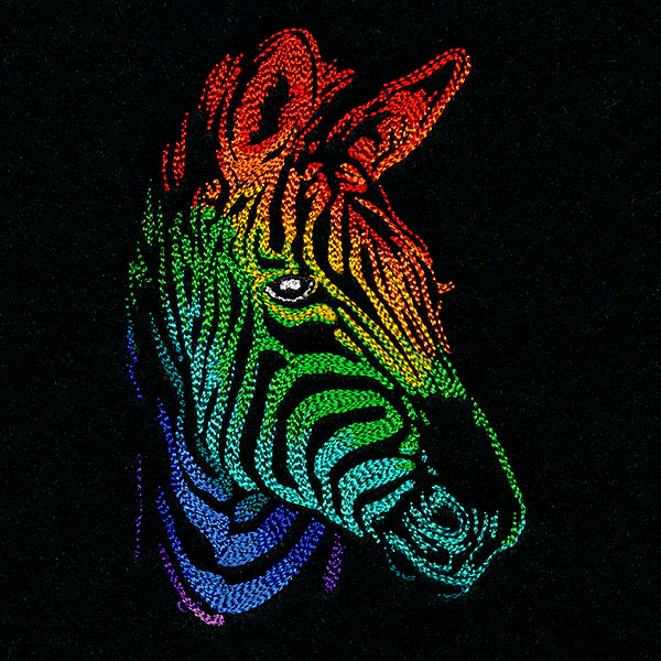 Rainbows & Mystery - Zebra Head - Image 5