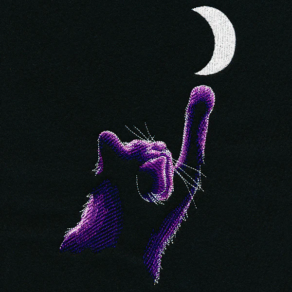 Reach for the Moon - Image 11