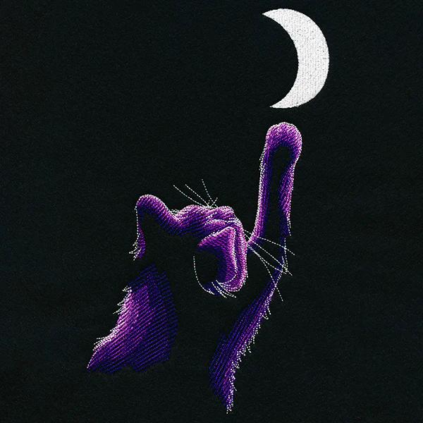 Reach for the Moon - Image 3