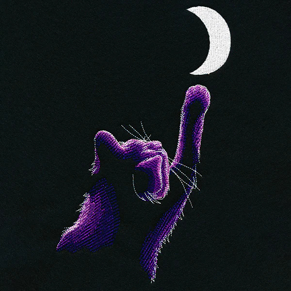 Reach for the Moon - Image 4