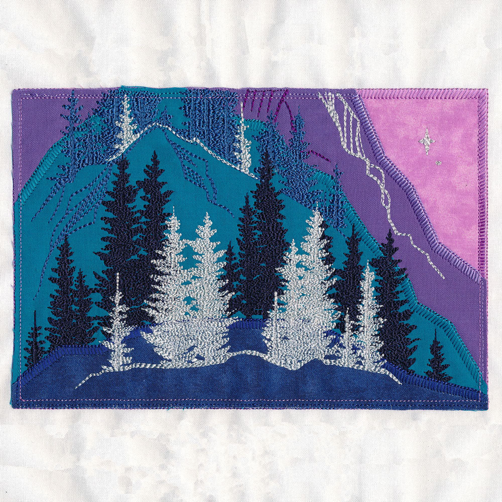 Reflection of Radiance Scene (Applique) - Image 11