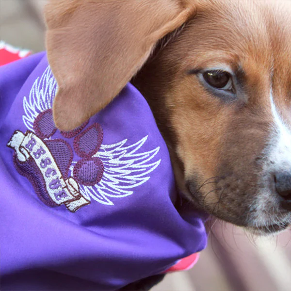 Rescue Paw - Image 3