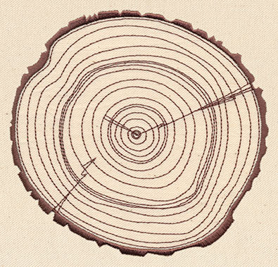 Rings of Time - Image 2