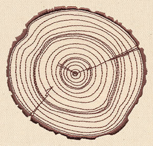 Rings of Time - Image 3