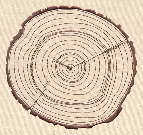 Rings of Time - Image 4