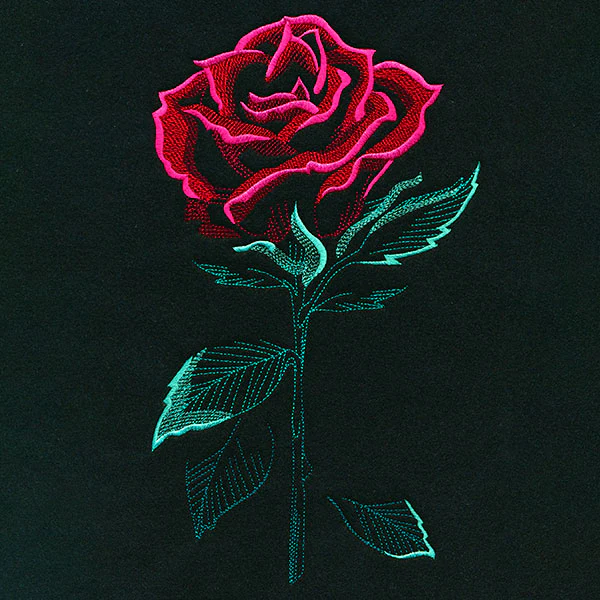 Romantic Rose