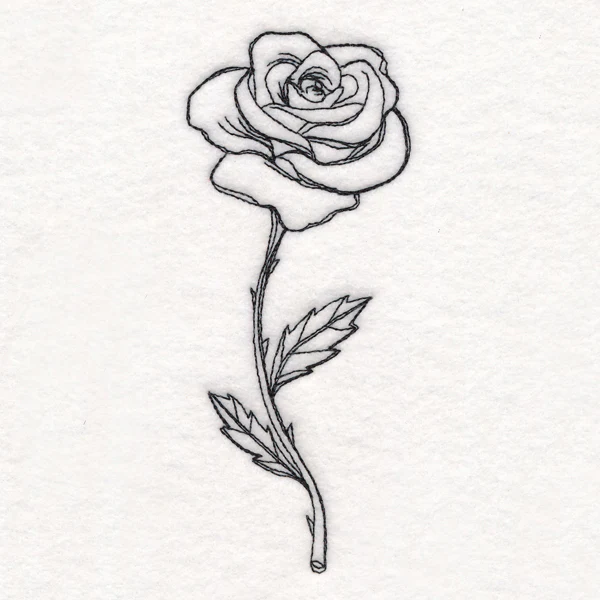 Rose in Bloom - Image 3