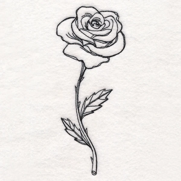Rose in Bloom - Image 6