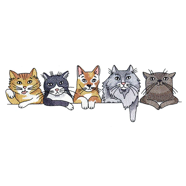 Sassy Cats Border