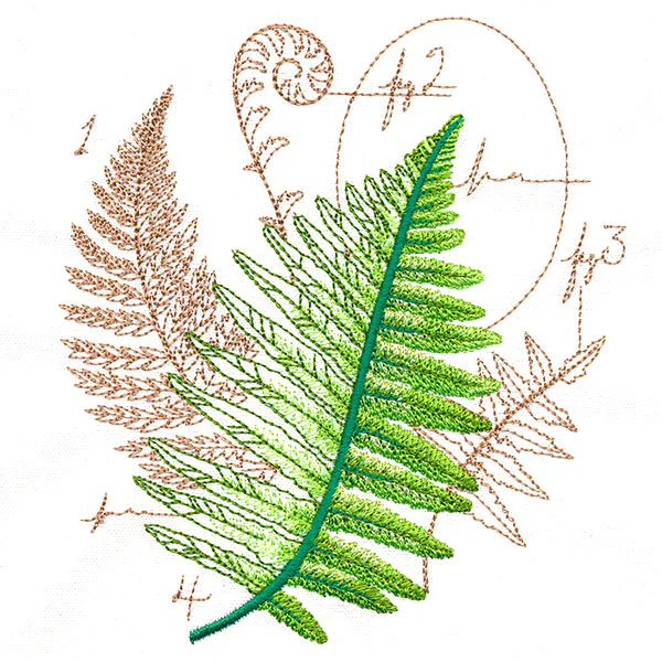 Scientific Fern Collage - Image 5