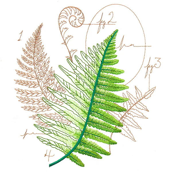 Scientific Fern Collage - Image 7
