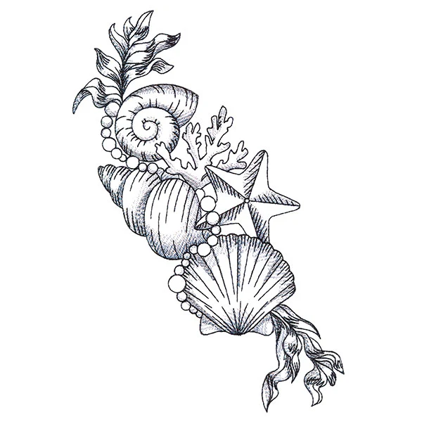 Seashell Treasures
