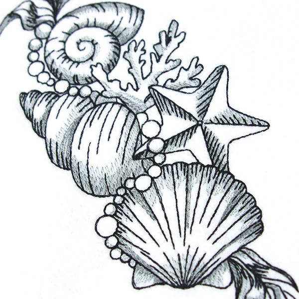 Seashell Treasures - Image 6