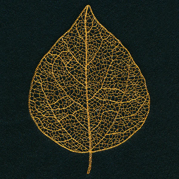 Sensational Skeleton Leaf - Image 5