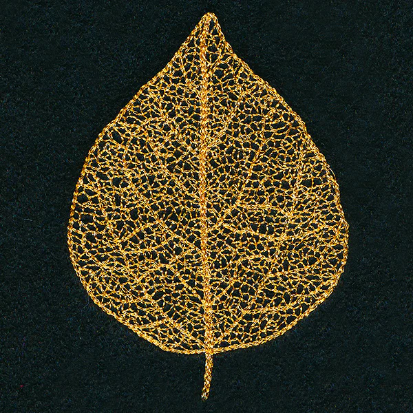 Sensational Skeleton Leaf - Image 7
