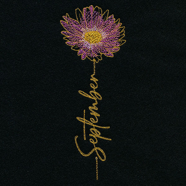 September Birth Flower - Aster - Image 4