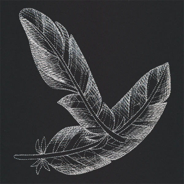 Sheer Beauty Feathers - Image 2