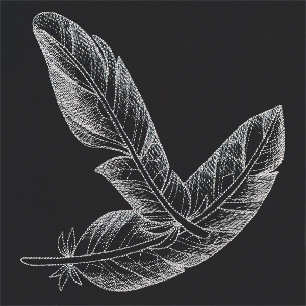 Sheer Beauty Feathers - Image 5