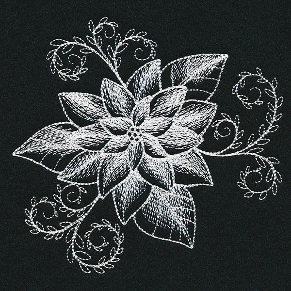 Sheer Beauty Poinsettia - Image 3