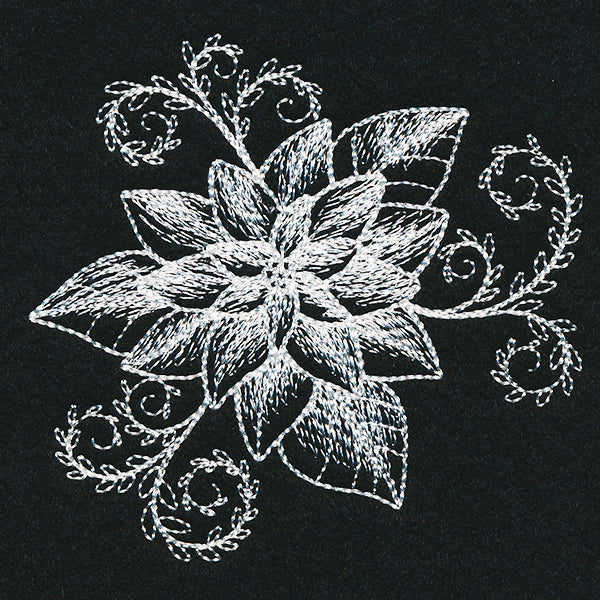 Sheer Beauty Poinsettia - Image 4