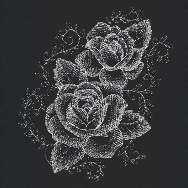 Sheer Beauty Roses - Image 5