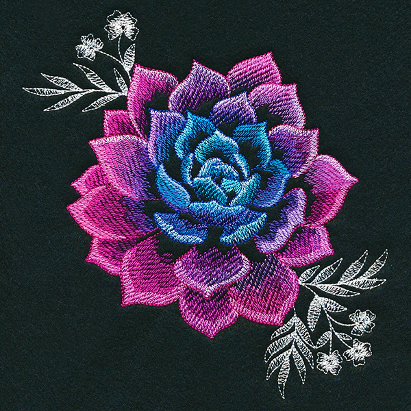 Sheer Beauty Succulent - Image 5