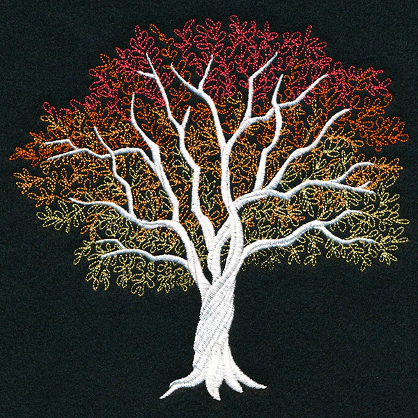 Signs of Autumn Tree - Image 3