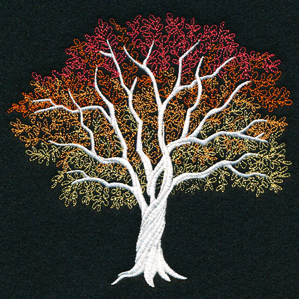 Signs of Autumn Tree - Image 5
