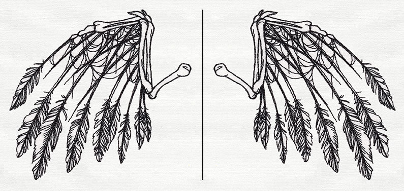 Skeletal Flight (Wing Pair) - Image 2