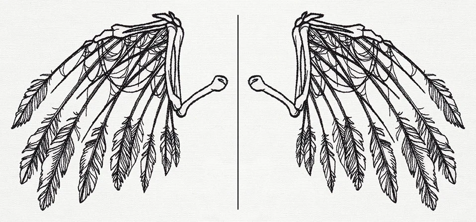 Skeletal Flight (Wing Pair) - Image 4