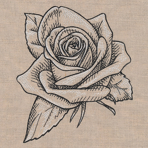 Sketched Rose - Image 2