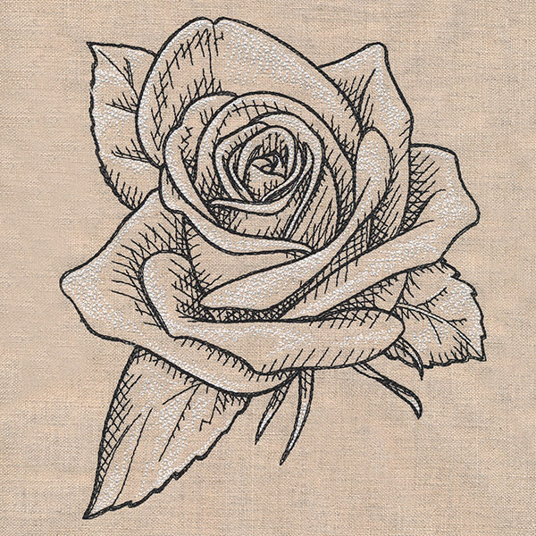 Sketched Rose - Image 5