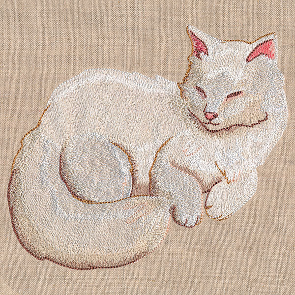 Soft & Sheer Cat - Image 2