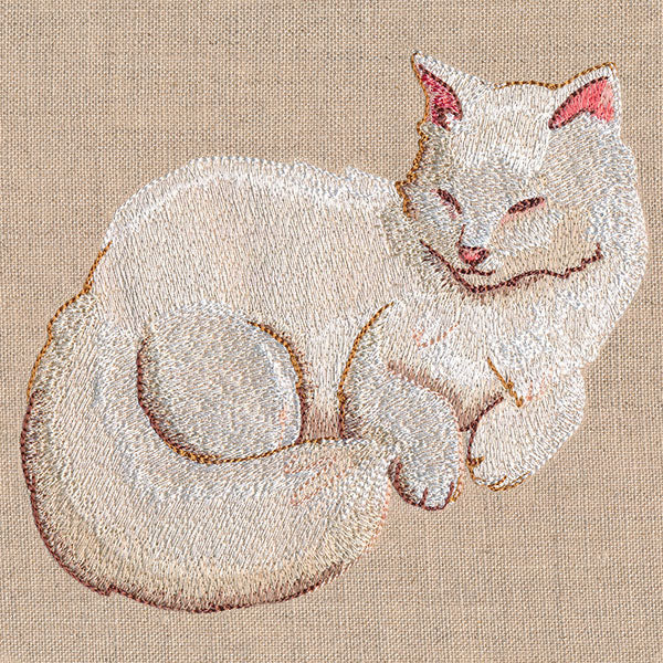Soft & Sheer Cat - Image 3