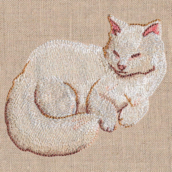 Soft & Sheer Cat - Image 4