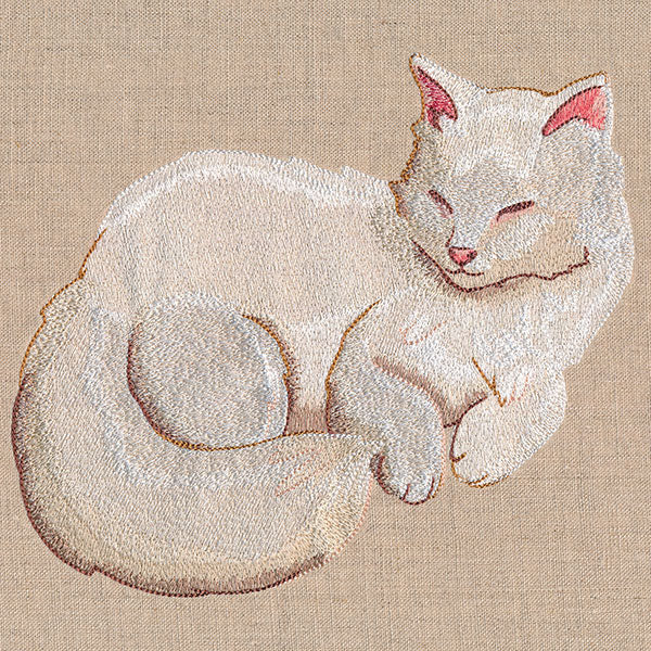 Soft & Sheer Cat - Image 5