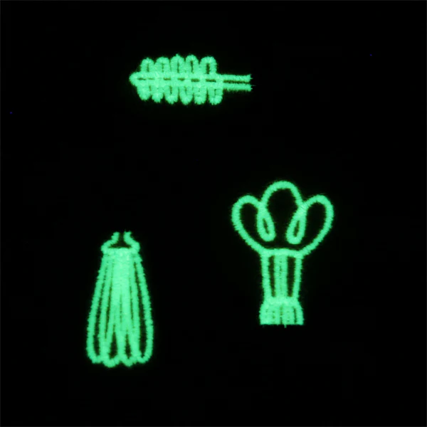 Spark of Genius (Vinyl Applique) - Image 12