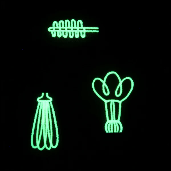 Spark of Genius (Vinyl Applique) - Image 3