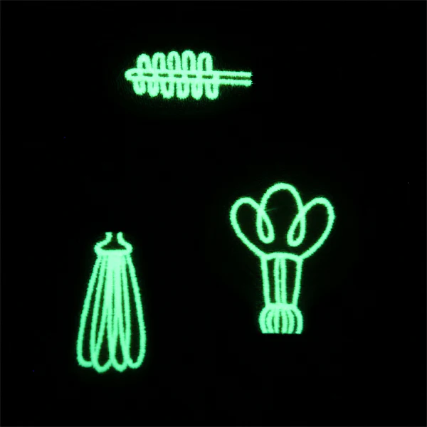Spark of Genius (Vinyl Applique) - Image 9