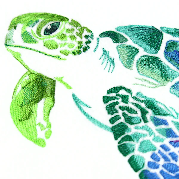 Spectrums of the Ocean Sea Turtle - Image 4