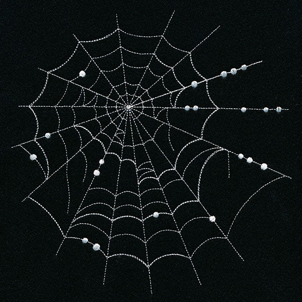 Spiraling Spiderwebs Feature - Image 6
