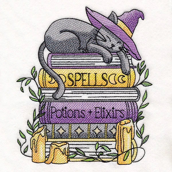 Spooky and Booked Cat - Image 4
